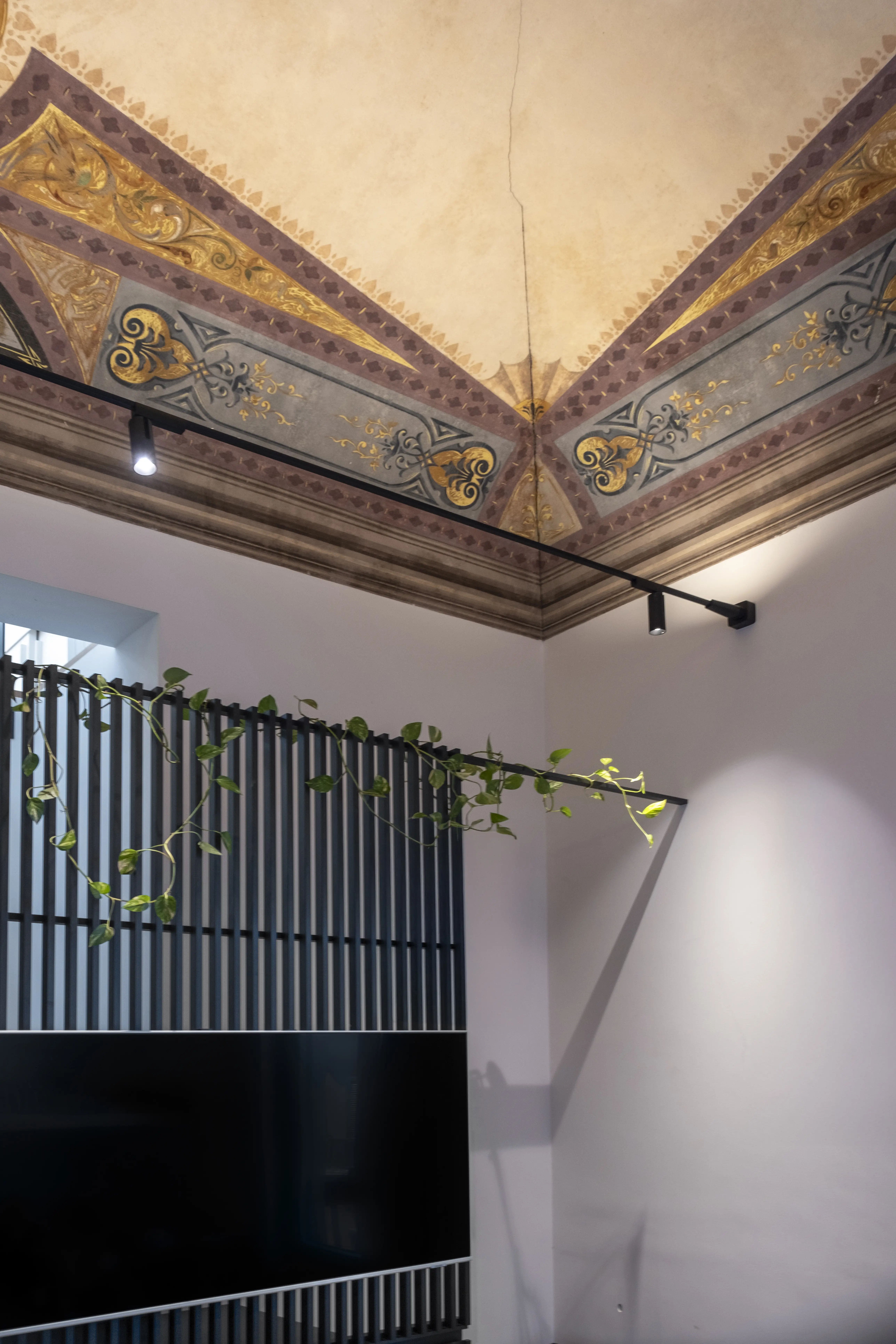 Casa T+L